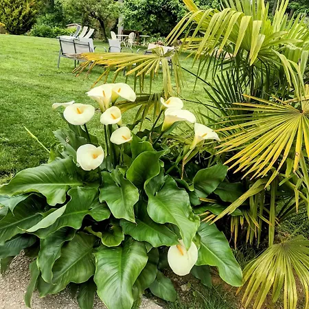 Domaine La Garence Nocleg ze śniadaniem Villers-sous-Châtillon